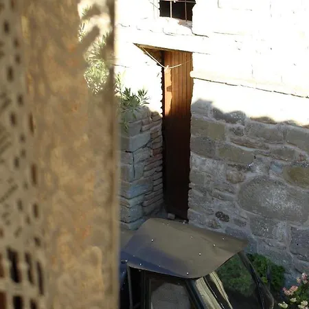 Il Riccio E La Volpe *