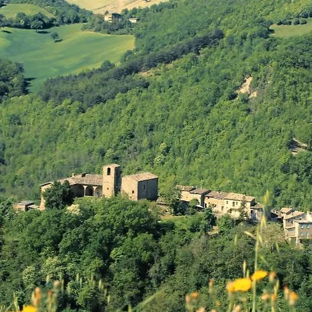 Il Riccio e la Volpe