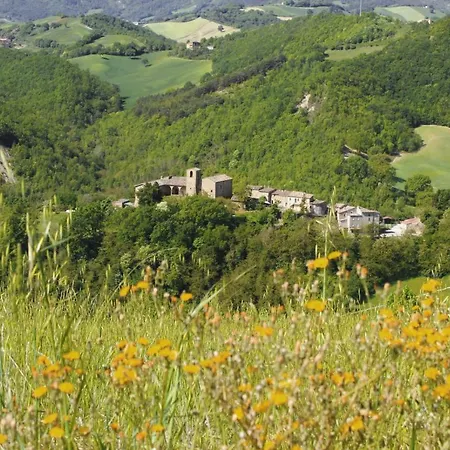 Il Riccio E La Volpe *